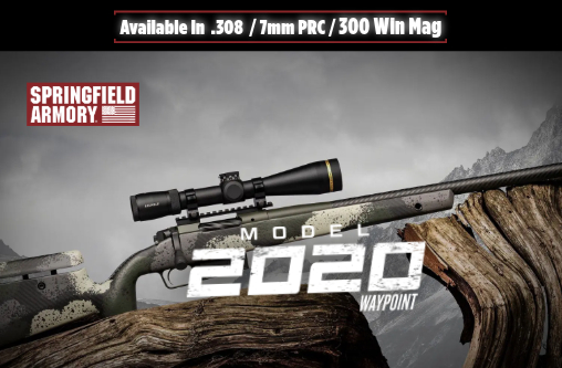 springfield 2020 waypoint Carbon